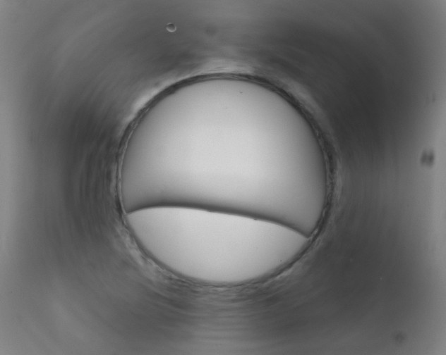X0000111611220200907171031