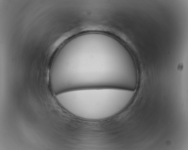 X0000111611221200907171031