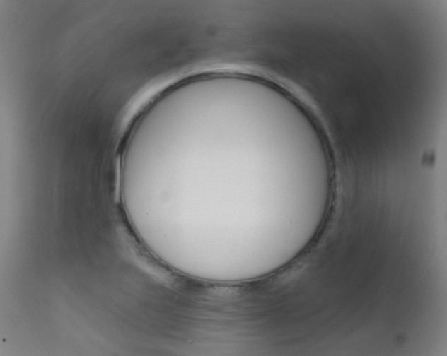 X0000111611223200907171031