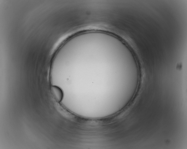 X0000111611224200907171031