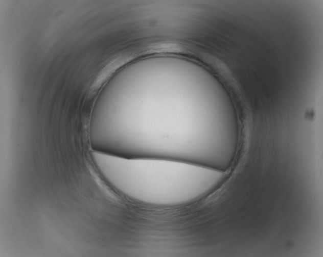 X0000111611225200907171031