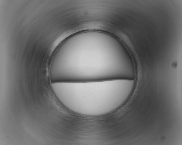 X0000111611226200907171031