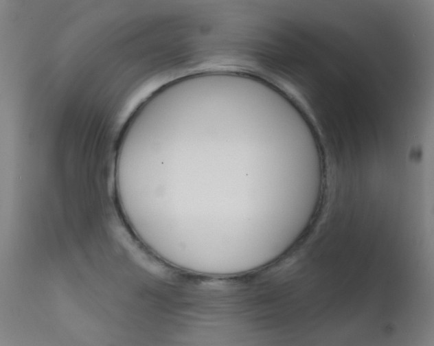 X0000111611227200907171031