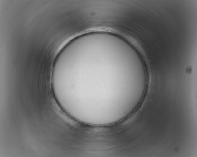 X0000111611228200907171031