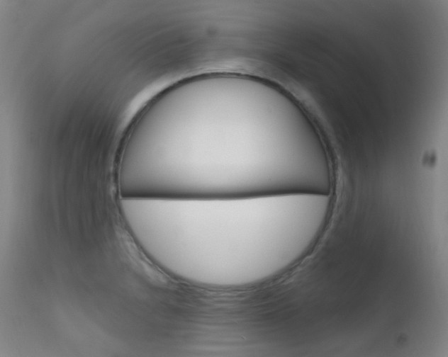 X0000111611230200907171031