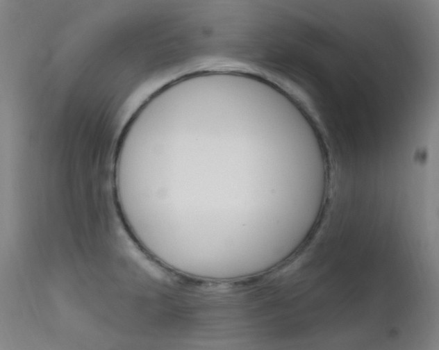 X0000111611231200907171032