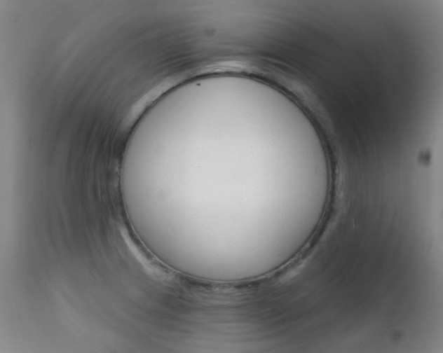 X0000111611233200907171032