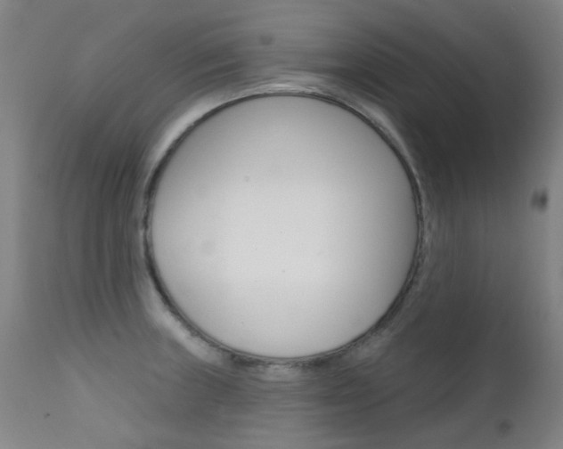 X0000111611235200907171032