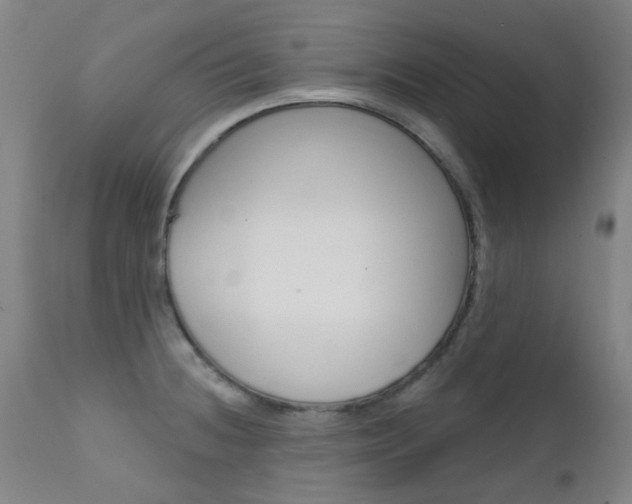 X0000111611236200907171032