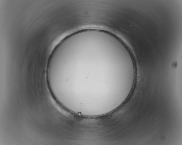 X0000111611237200907171032