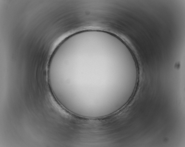 X0000111611238200907171032