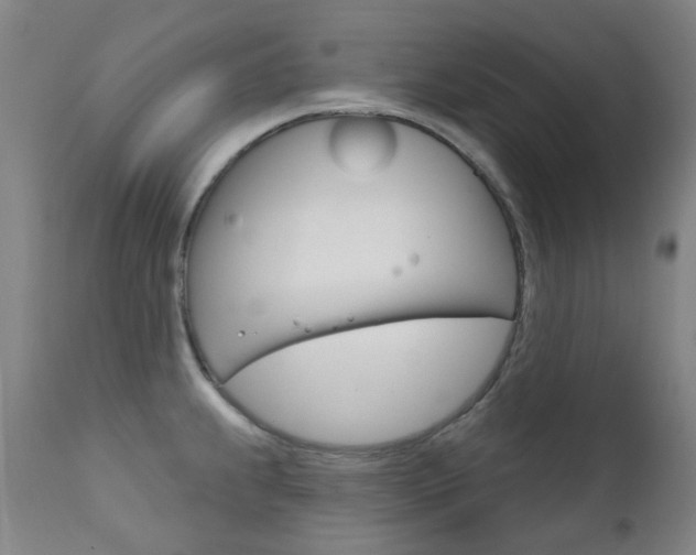 X0000111611239200907171032