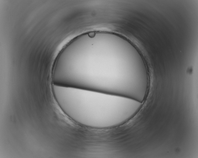 X0000111611240200907171032