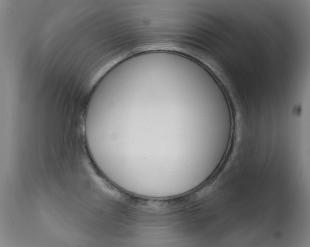 X0000111611241200907171032