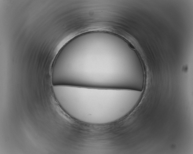 X0000111611242200907171032