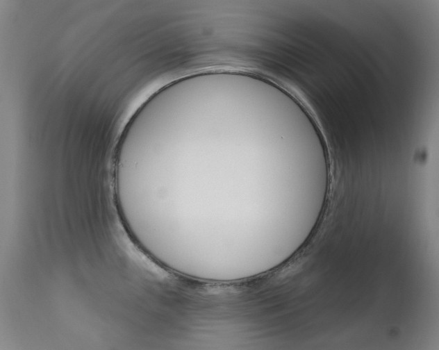 X0000111611243200907171032