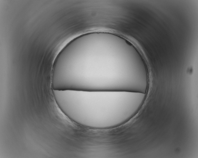 X0000111611244200907171032