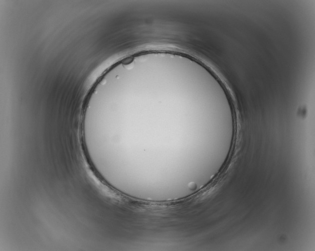 X0000111611245200907171032