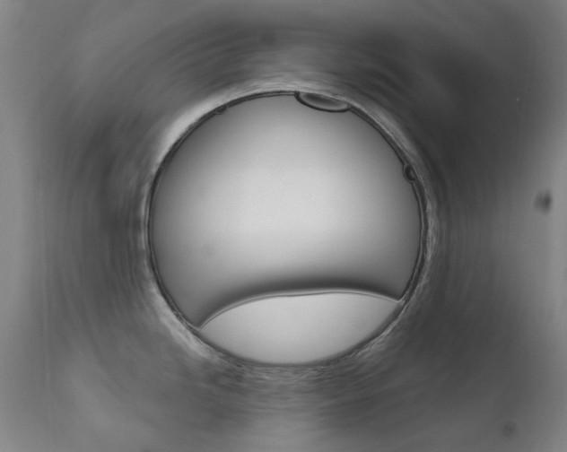X0000111611246200907171032