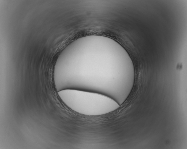 X0000111611250200907171031