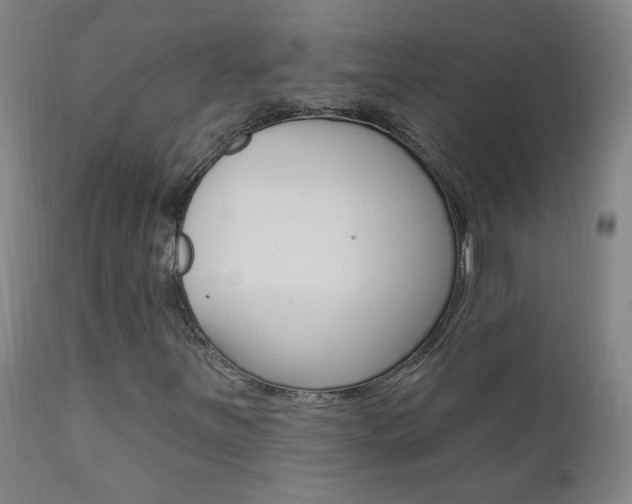X0000111611251200907171031