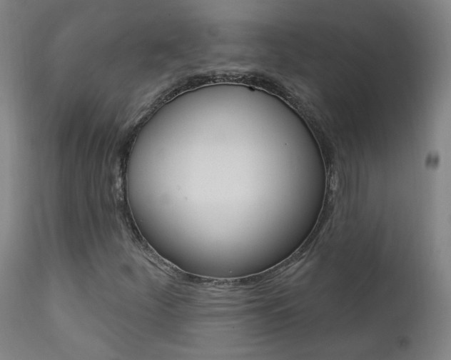 X0000111611252200907171031