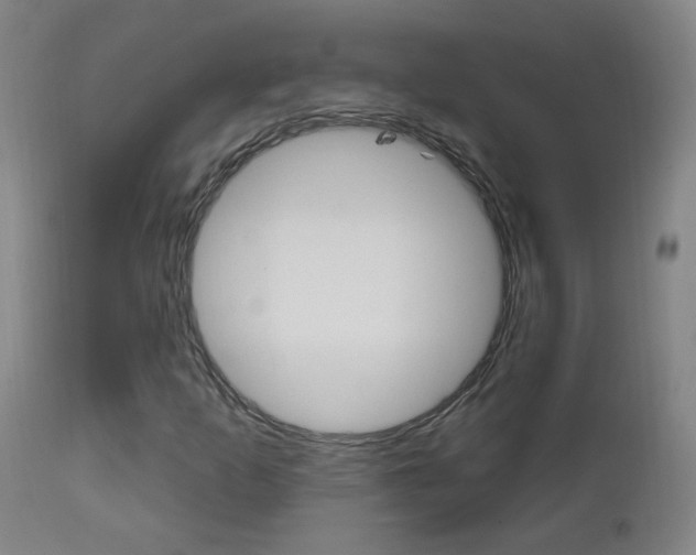X0000111611253200907171031