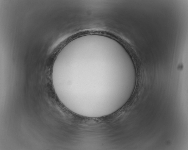 X0000111611255200907171031