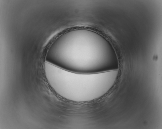 X0000111611256200907171031