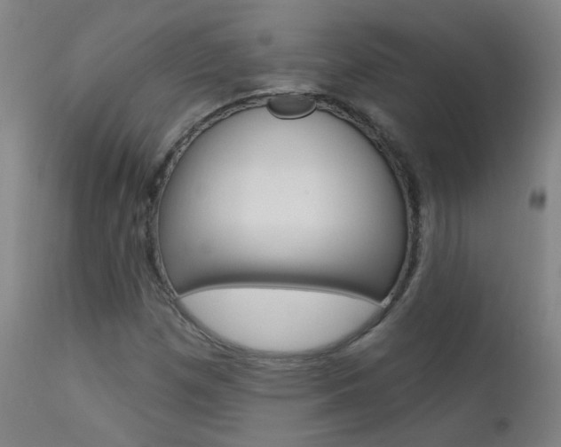 X0000111611257200907171031