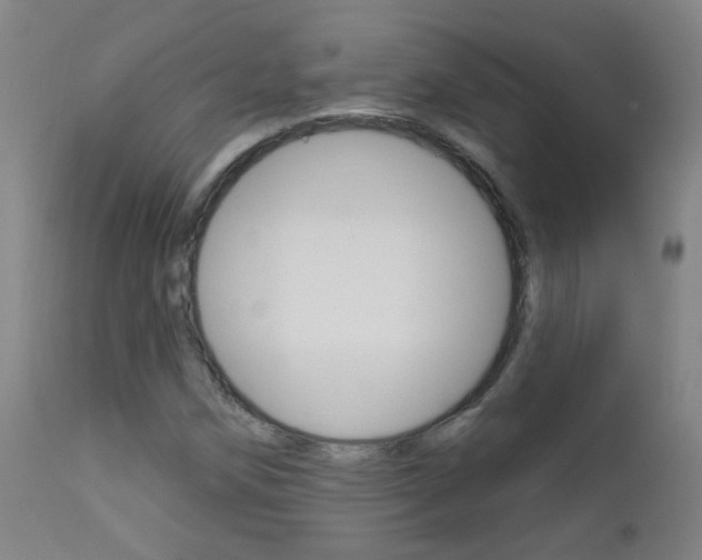 X0000111611258200907171031