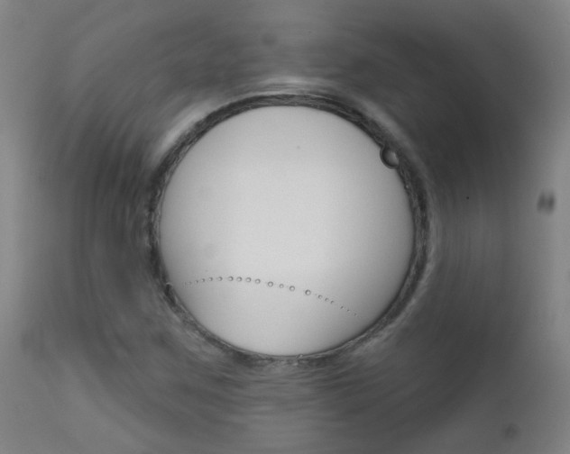 X0000111611259200907171031