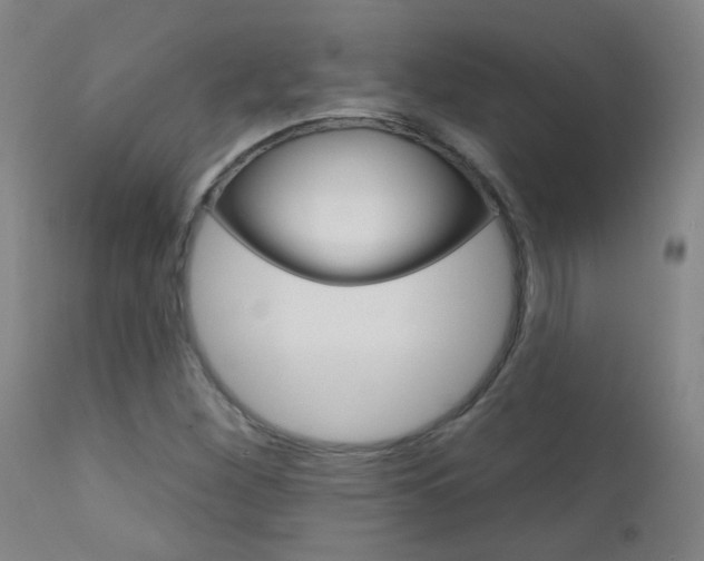 X0000111611260200907171031