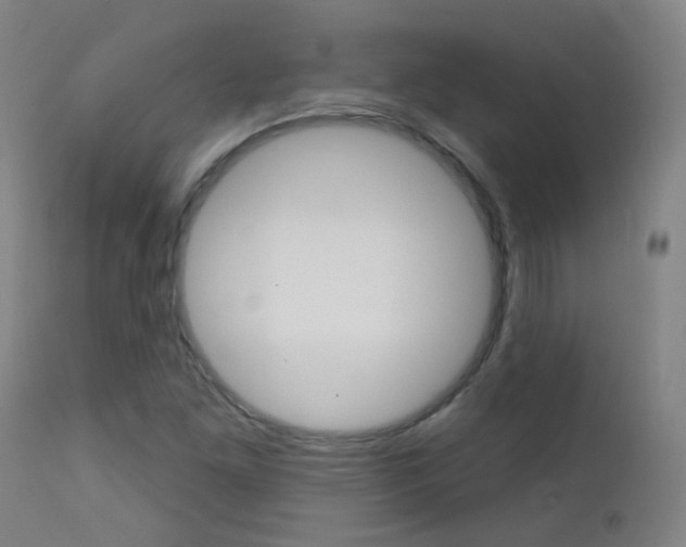 X0000111611261200907171031