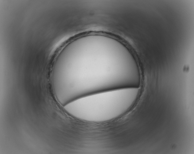 X0000111611263200907171031