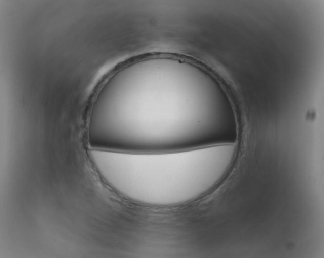 X0000111611264200907171031