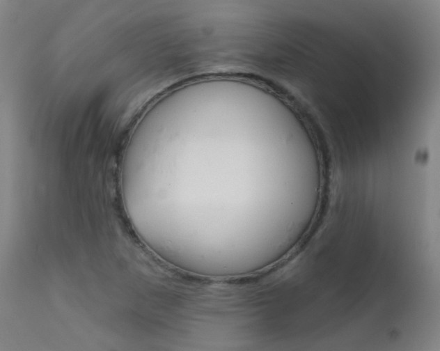 X0000111611265200907171031