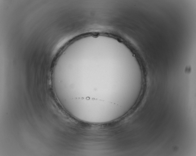 X0000111611267200907171031