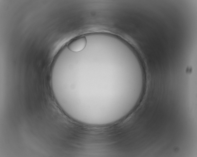X0000111611269200907171031