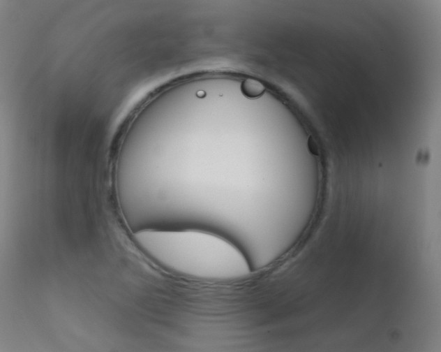 X0000111611270200907171031