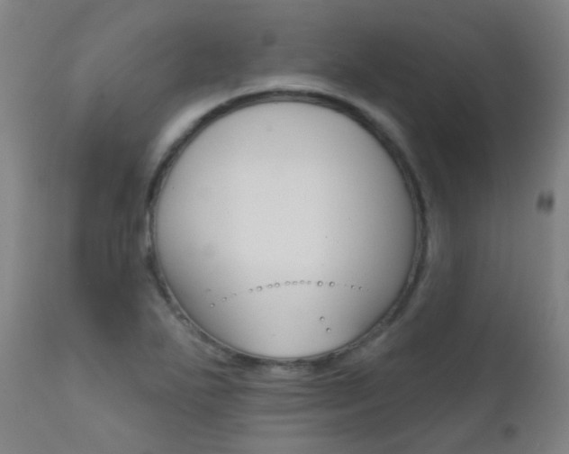 X0000111611271200907171031