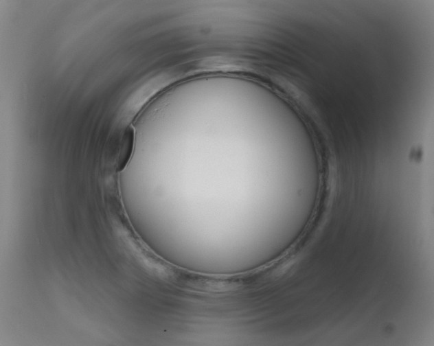 X0000111611273200907171031