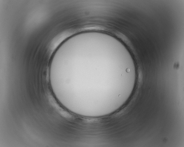 X0000111611274200907171031