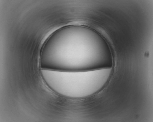 X0000111611276200907171031