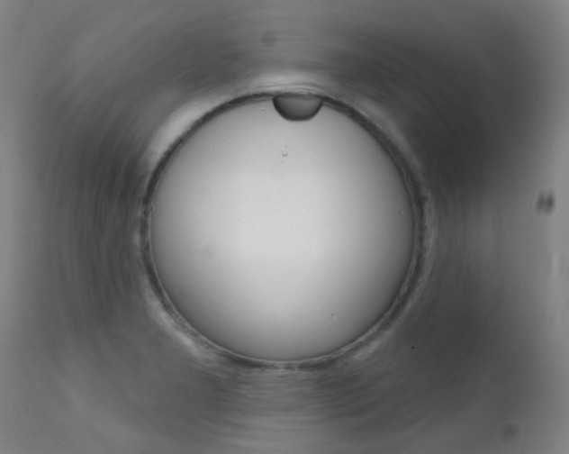 X0000111611277200907171031