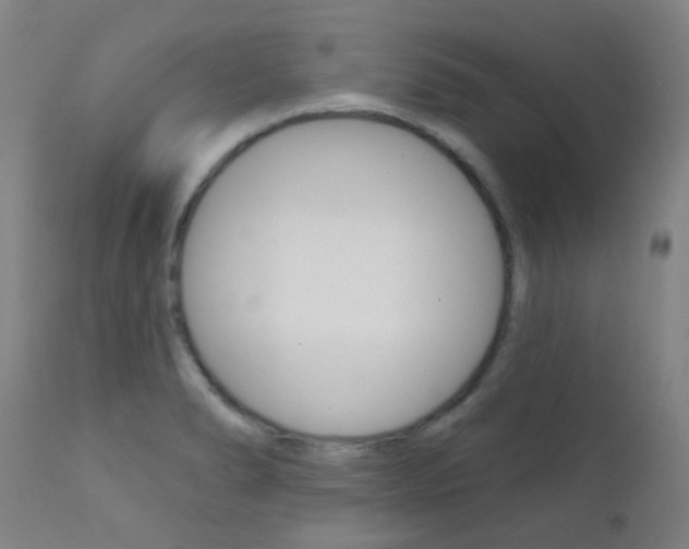 X0000111611278200907171031