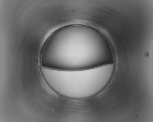 X0000111611280200907171030