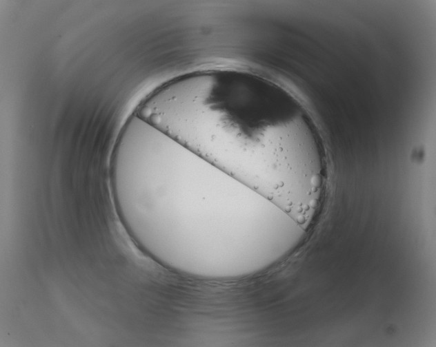 X0000111611283200907171030