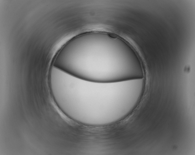 X0000111611285200907171030