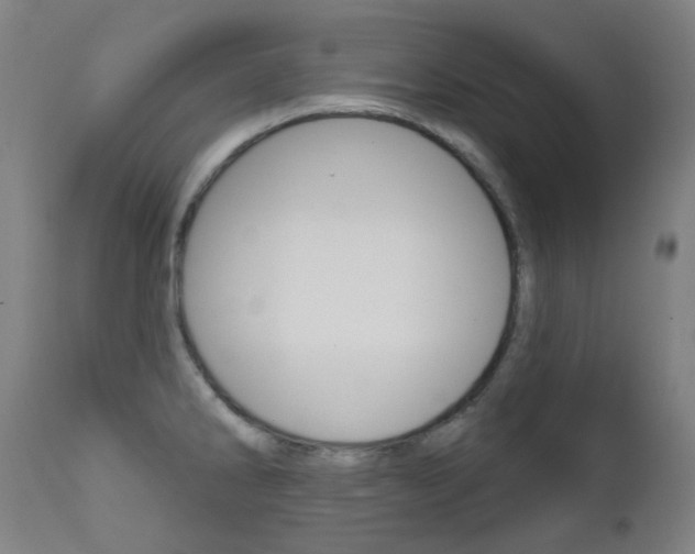 X0000111611286200907171030